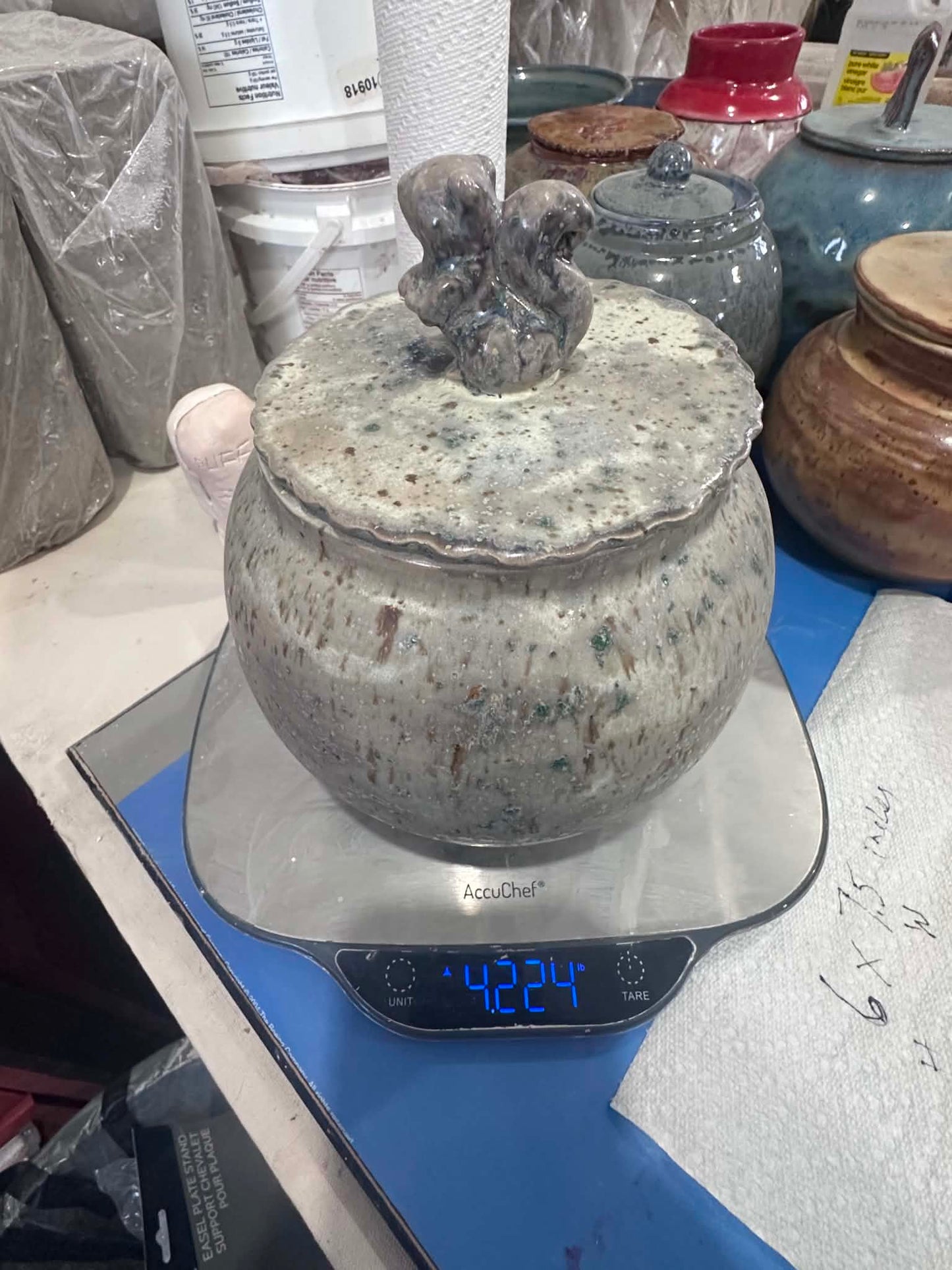 Lichen Rock Sculpted Lid Jar