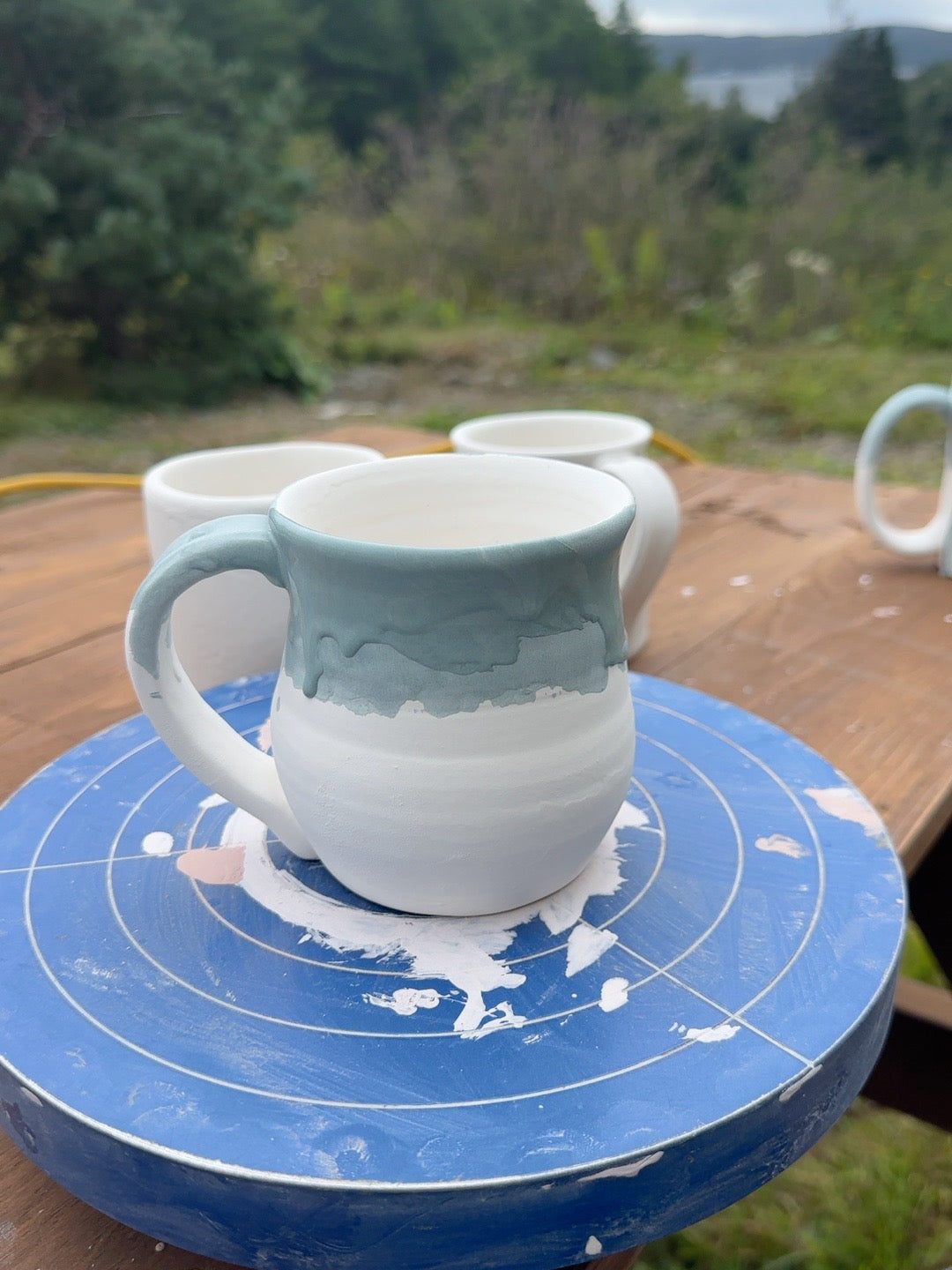 HCP-022 current pre-fire photo: Enamel White dip